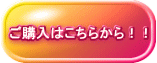 ご購入はこちらから!!